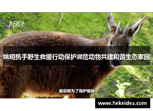 姚明携手野生救援行动保护濒危动物共建和谐生态家园